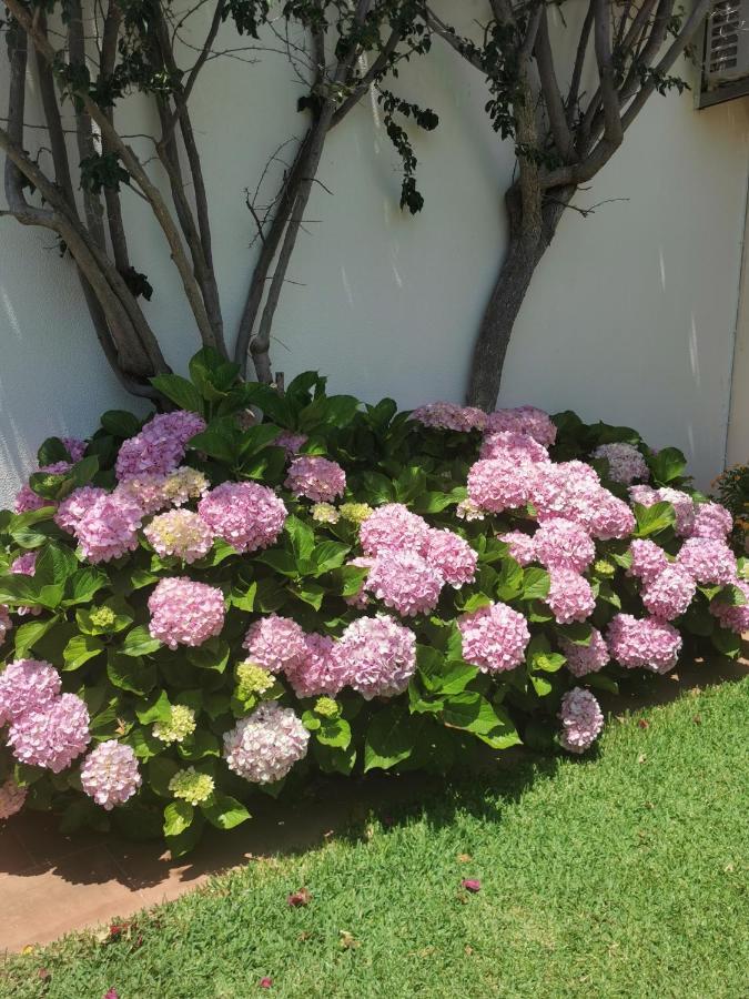 Luxury 3 Bedroom Villa With Private Pool كاباناس تْدي تافيرا المظهر الخارجي الصورة